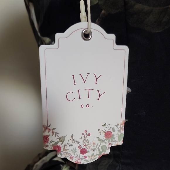 Ivy City Co. “I Feel Pretty” Magnolia Floral Organza Gown NWT Size 00 - Picture 7 of 11